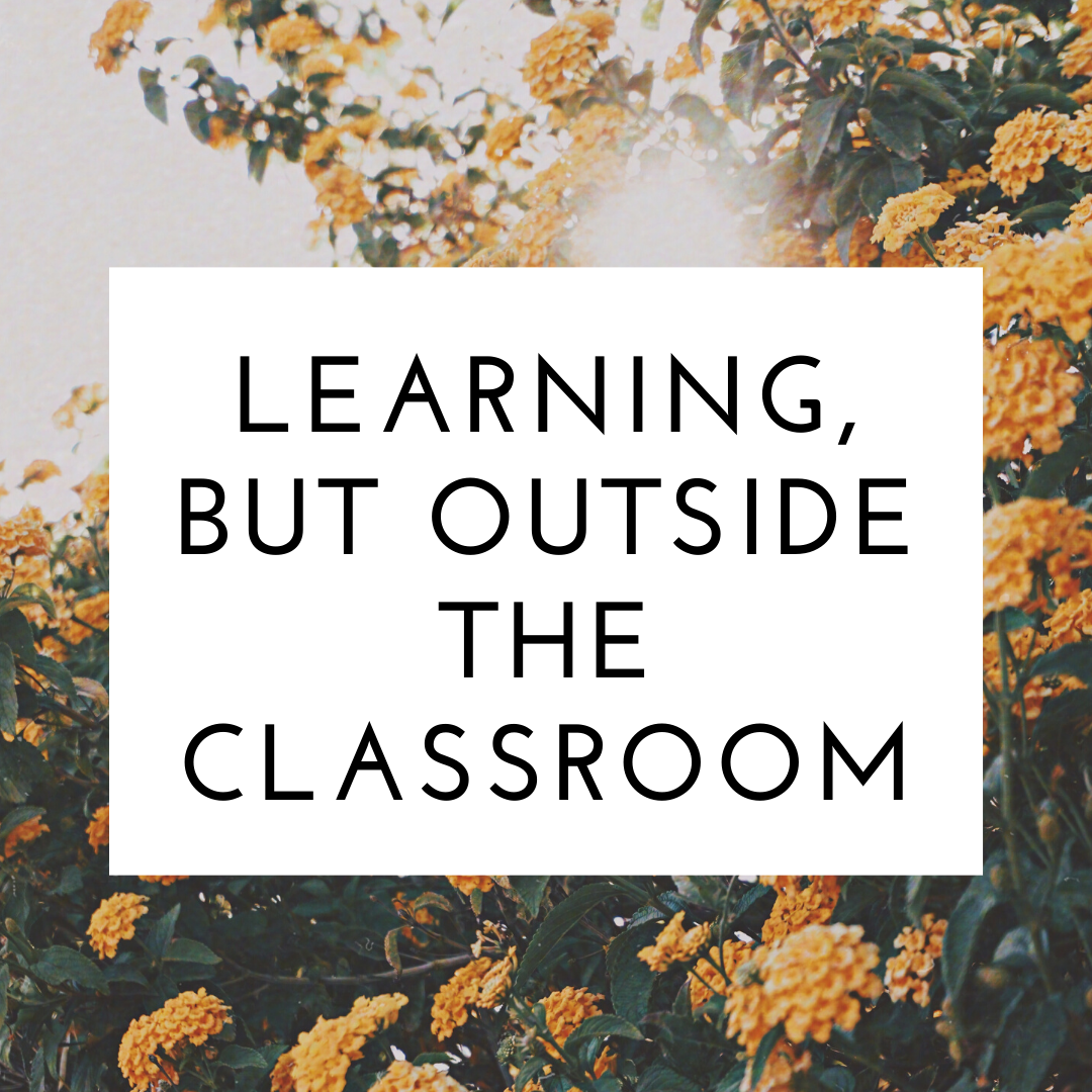 LESSON 7: LEARNING, BUT OUTSIDE OF THE CLASSROOM.